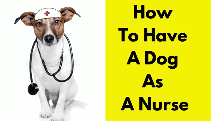 How To Have A Dog As A Nurse